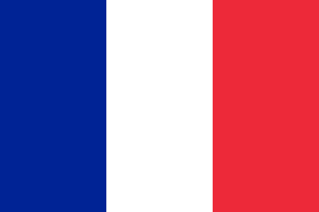 french-flag-graphic